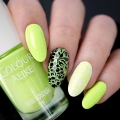 210 - CHARTREUSE.JPG