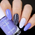 212 - VIOLET.JPG